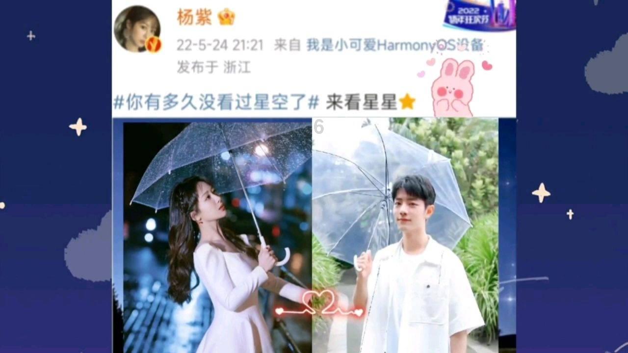救援萌老虎