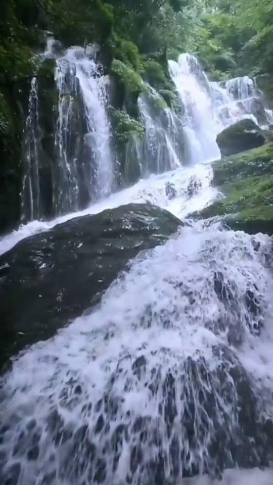 我的小麦收割机机油进水对了机体内没放水会不会是缸头冻坏-专业问答网站